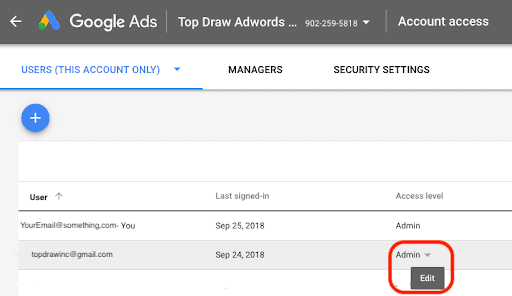 Google Ads User Access Level