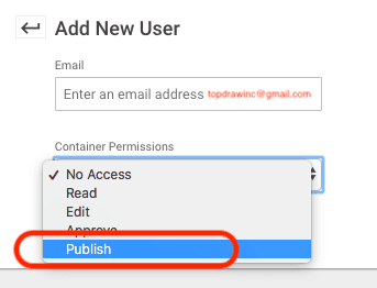 Google Tag Manager Access Level