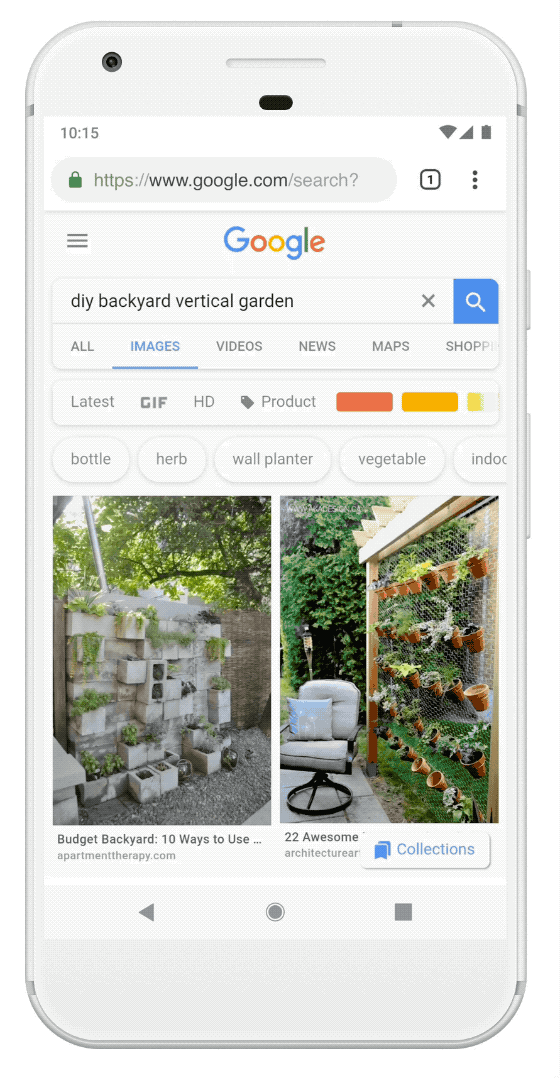 Gif of Google Lens being used to find plants related to an image search