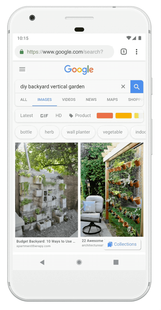 Step-by-step demonstration of Google Lens identifying and providing information about different plant species